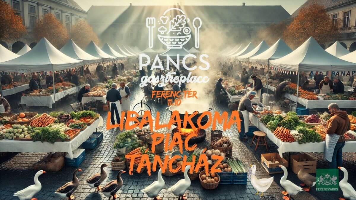 Pancs Gasztroplacc Pancs Gasztroplacc