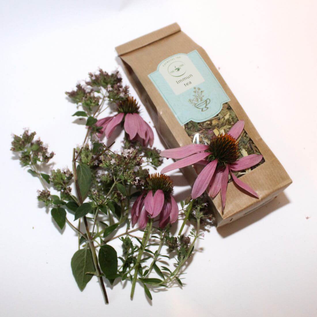 6 gyógynövény az immunrendszer erősítésére