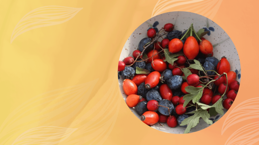 őszi gyógynövények