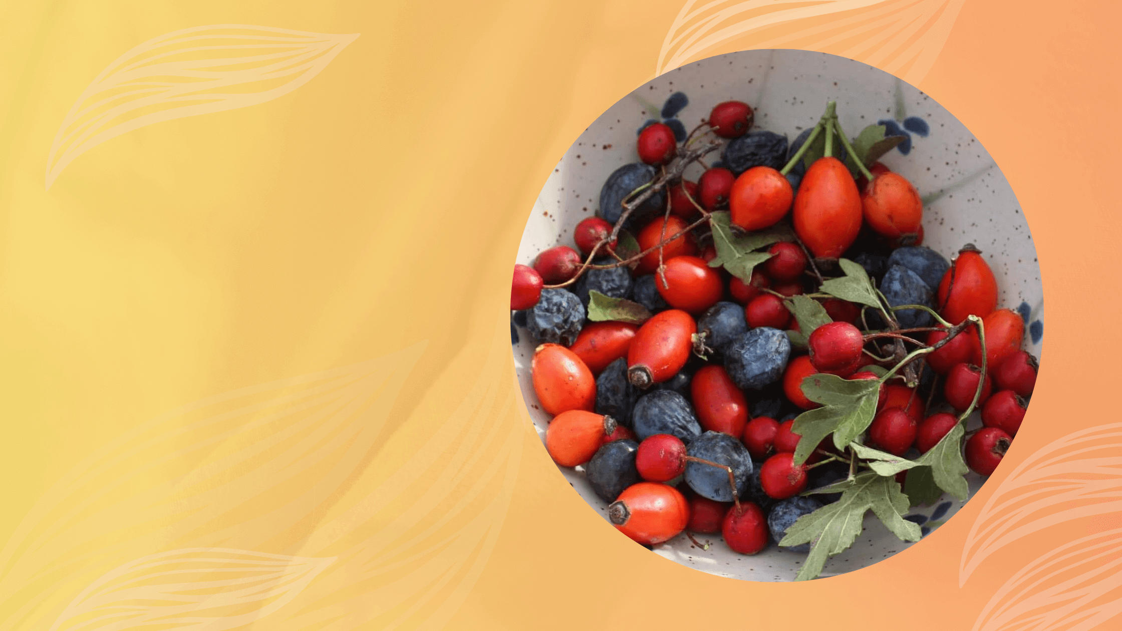 őszi gyógynövények